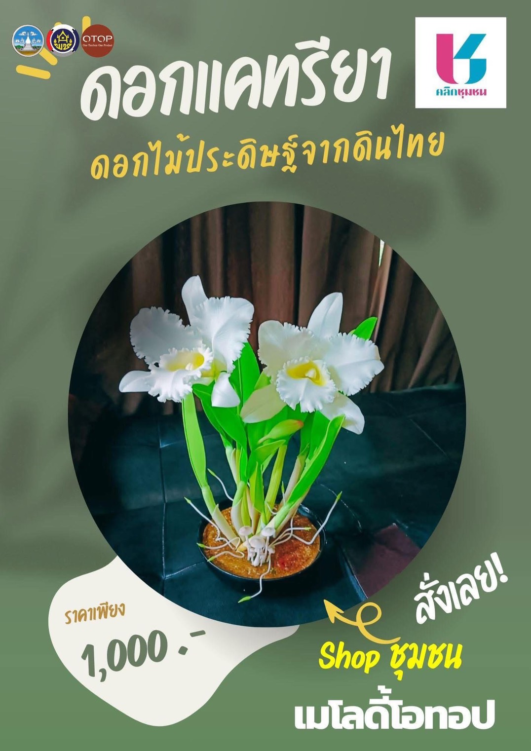 สพอ.วังสะพุง ขอเชิญชวนเลือกซื้อ เลือกชมสินค้า OTOP ผ่านแอพลิเคชั่น “Click ชุมชน”